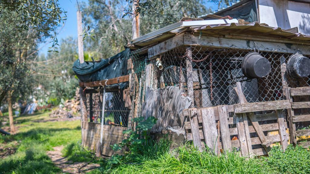 Villa Calma فيستَ المظهر الخارجي الصورة